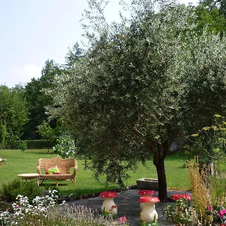 Il Coniglio Sulla Luna 3* Erba