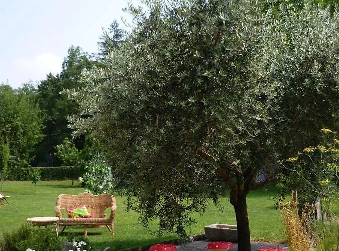 伊尔克你格里奥苏拉鲁纳住宿加早餐旅馆 3* 埃尔巴